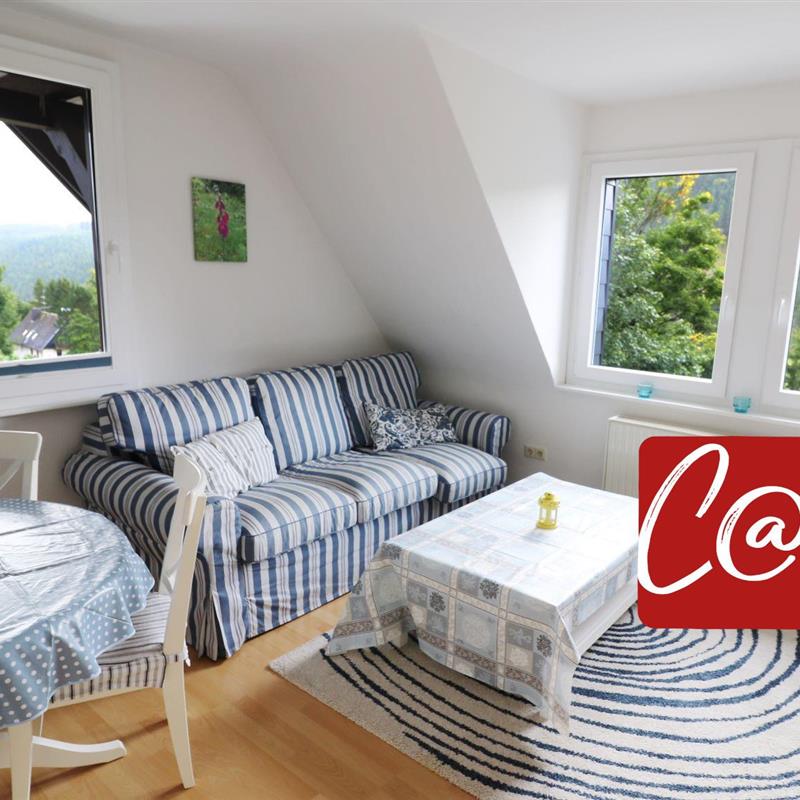 Ferielejlighed - 5 personer -  - Benzenweg - 79868 - Feldberg (Schwarzwald)