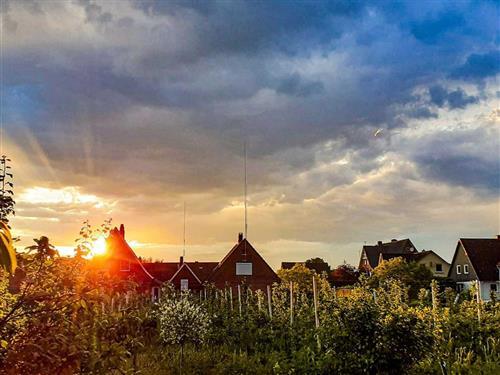 Ferieleilighet - 5 personer -  - Siebenhöfen - 21723 - Hollern-Twielenfleth