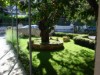 Bilde 5 - Ude