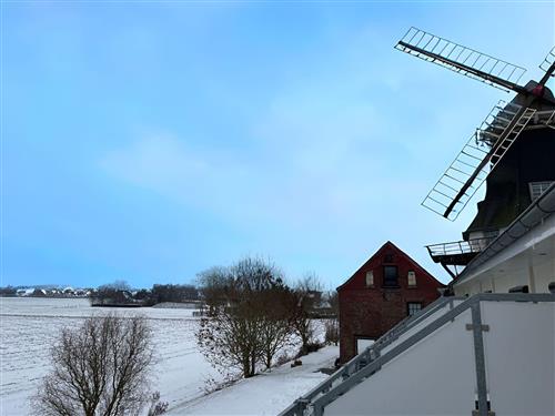 Ferielejlighed - 5 personer -  - Mühlenstraße - 26409 - Carolinensiel