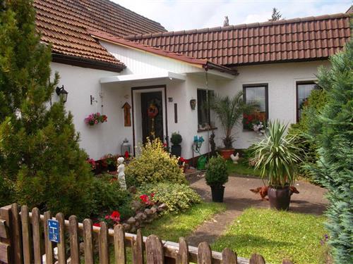 Ferieleilighet - 4 personer -  - Dresdener Straße - 06886 - Lutherstadt Wittenberg