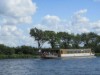 Image 14