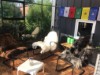 Bild 15