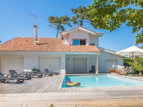 Villa - 12 personer -  - 40660 - Moliets