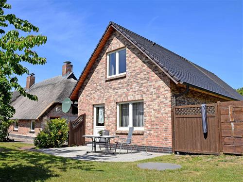 Ferielejlighed - 3 personer -  - Heideweg - 18586 - Baabe (Ostseebad)