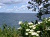 Image 40 - View of water