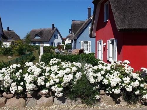 Semesterhus/Semesterlägenhet - 4 personer -  - Am Kurpark - 18551 - Glowe