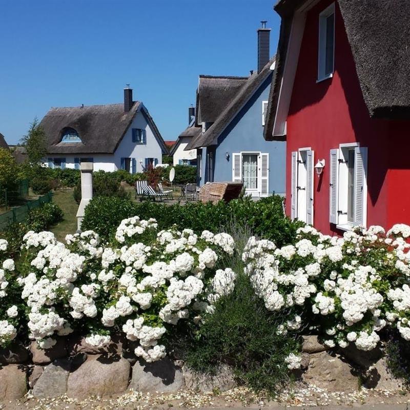 Sommerhus - 4 personer -  - Am Kurpark - 18551 - Glowe