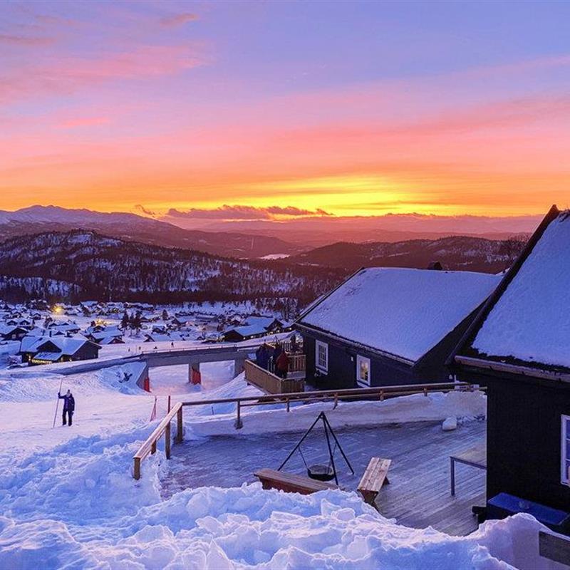 Sommerhus - 8 personer -  - Nordsida - Holtardalen/Rauland - 3884 - Rauland