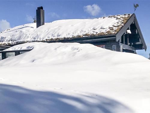 Sommerhus - 8 personer -  - Hellebrotet - Kyrkjebygdheia - 3854 - Nissedal