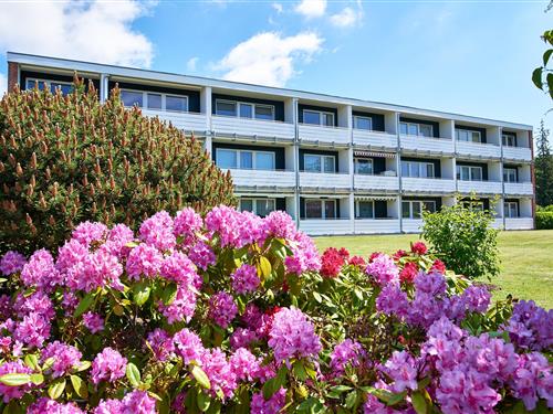 Ferielejlighed - 4 personer -  - Berliner Ring - 25938 - Wyk