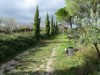 Bilde 19