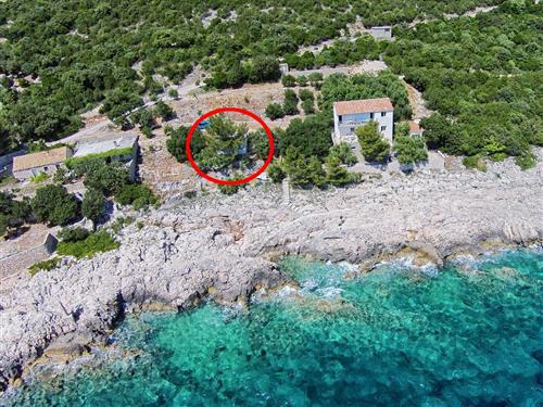 Holiday apartment - 3 persons -  - Potocine - 20244 - Potomje