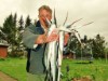 Bild 13