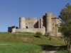 Image 15