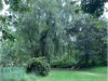 Bild 33