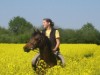 Bild 30