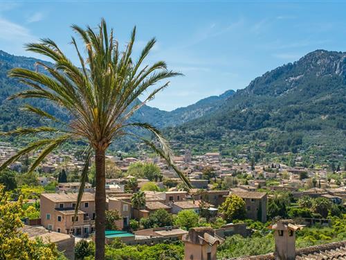 Holiday apartment - 6 persons -  - Diseminado Sector Num - Arbona Soller, Soller - 07100 - Soller