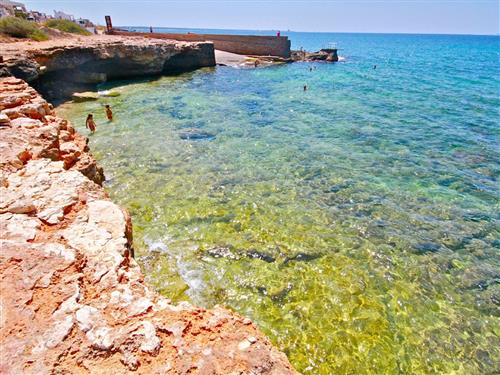 Holiday apartment - 7 persons -  - c/ Del Delfí nº - 07630 - Campos