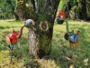 Bild 13