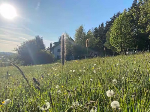 Ferielejlighed - 5 personer -  - Metzlersreuth - 95482 - Gefrees