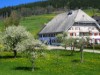 Bild 38