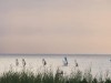 Billede 24