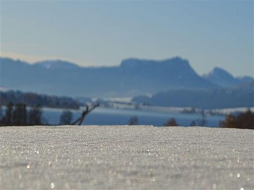 Bondgård - 5 personer -  - Gegend - 4894 - Oberhofen Am Irrsee