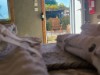 Bild 16 - Innen