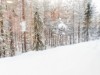 Bild 28 - Inde