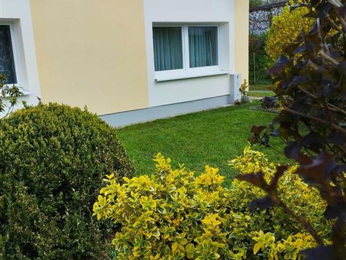 Sommerhus - 4 personer -  - Altenhimmelstraße - 95496 - Glashütten