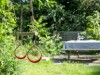 Bild 19