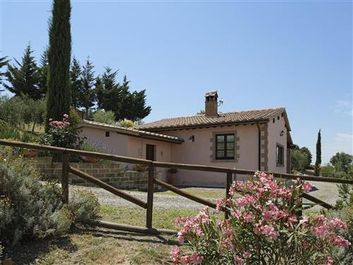 Ferieleilighet - 6 personer -  - Cinigiano - 58044