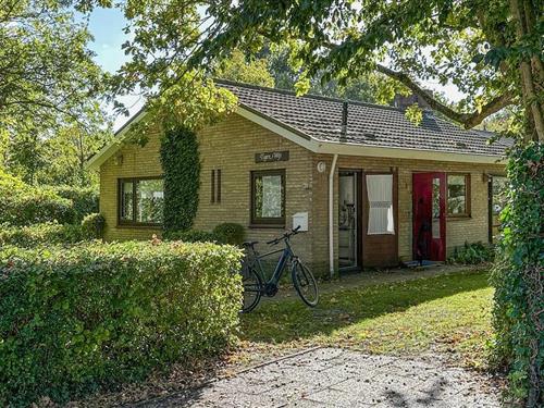 Holiday home - 5 persons -  - Oosterpark - 4356 GM - Oostkapelle
