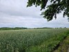Afbeelding 14