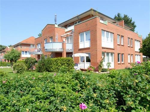 Ferielejlighed - 4 personer -  - Ostseeallee - 23946 - Boltenhagen