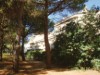 Bild 21