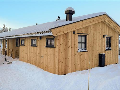 Holiday Home/Apartment - 6 persons -  - Auenhaugliveien - Golsfjellet - 3550 - Gol