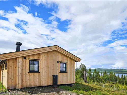 Sommerhus - 6 personer -  - Auenhaugliveien - Golsfjellet - 3550 - Gol