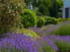 Bild 46