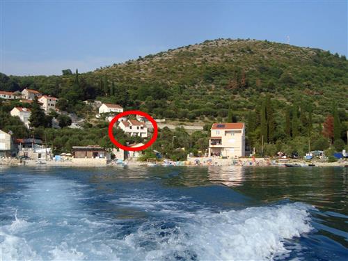 Ferieleilighet - 6 personer -  - Sladenovici 10, Sladenovici - 20232 - Slano