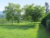 Image 24 - Outside