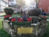 Bild 21