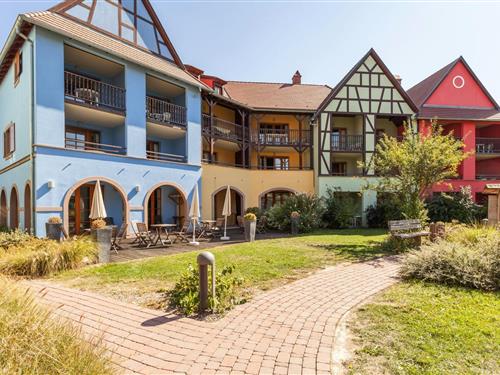 Ferienwohnung - 4 Personen -  - 68420 - Eguisheim