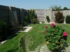 Bild 19