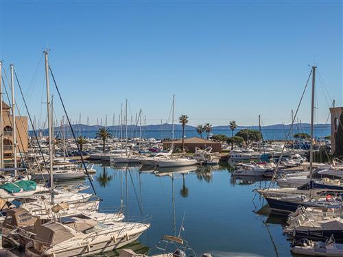 Ferienwohnung - 6 Personen -  - Hyères - 83400