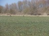 Bild 11 - Aussen