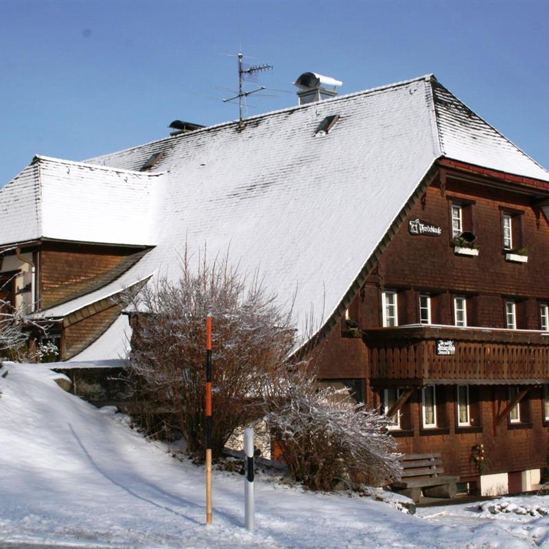 Ferielejlighed - 2 personer -  - 79875 - Dachsberg-Urberg