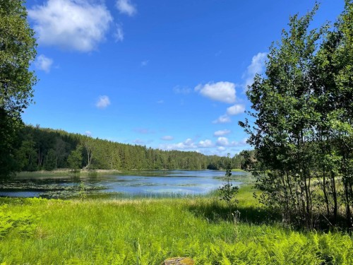  - 8 personer -  - Gesäters-näs - 66893 - Dals-Ed