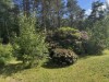 Billede 30 - Grund